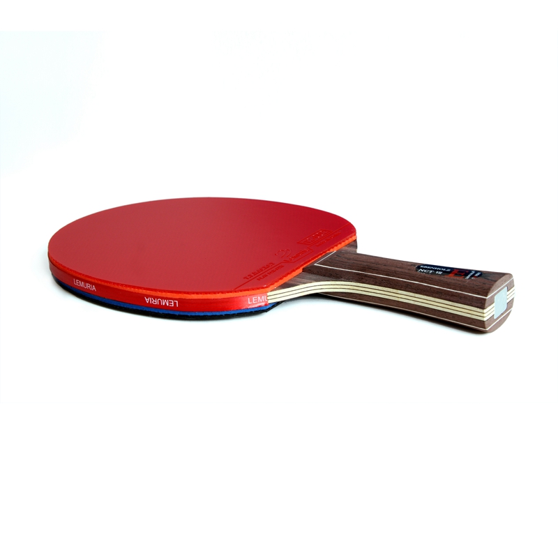 Ракетка для настольного теннис – обзор и цена Table Tennis Forehand